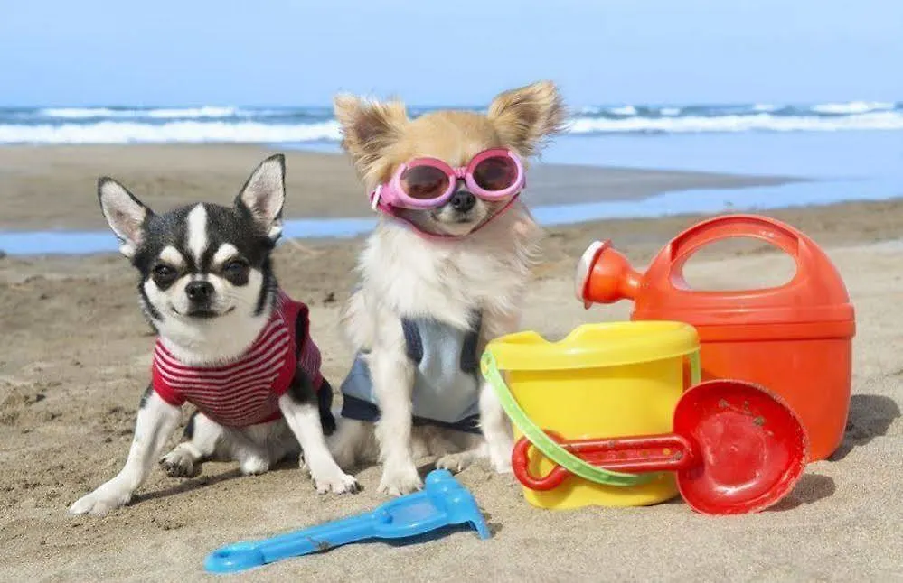 Enjoy Apart Centro Y Playa Victoria Malaga Spain
